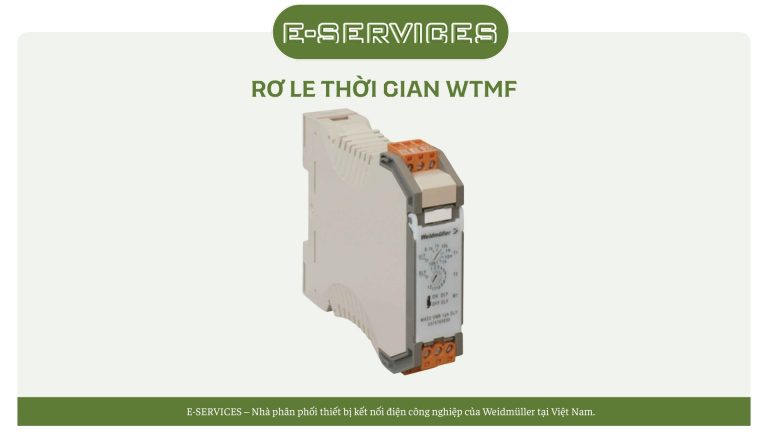 RƠ LE THỜI GIAN WTMF